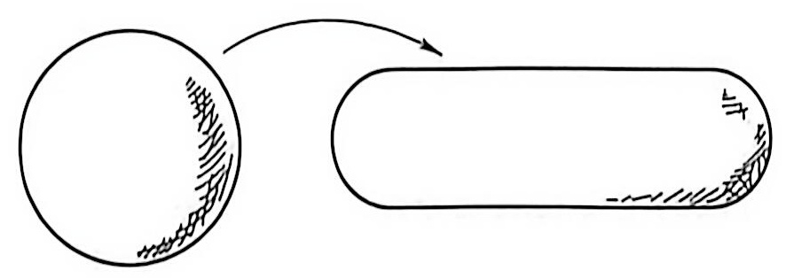 思维不可逆现象